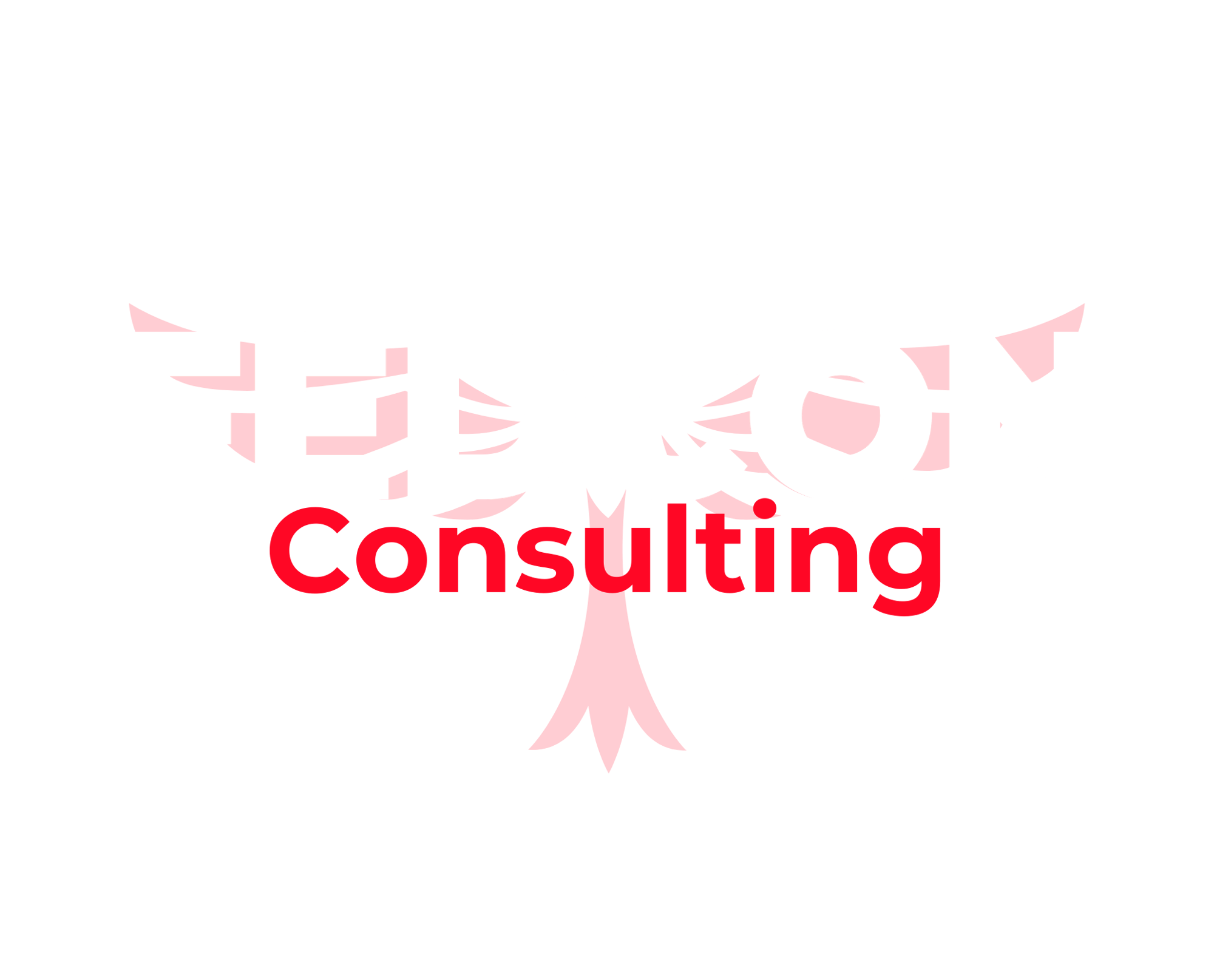 Consulting W&R (2061 x 1665 px)
