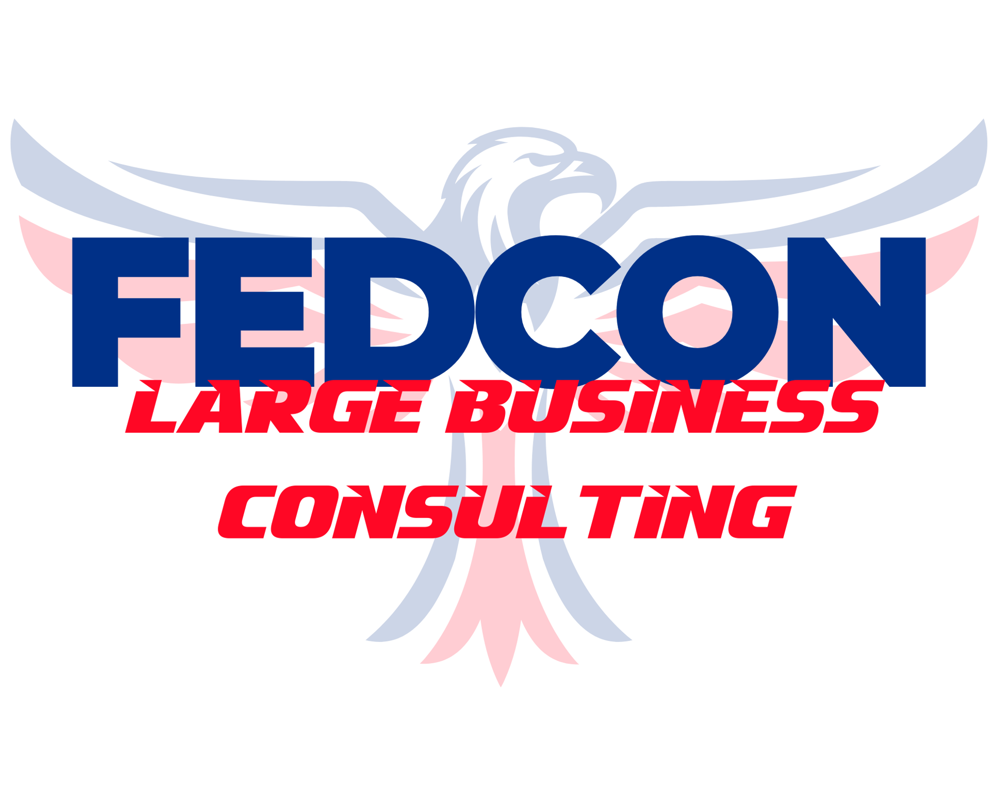 Large Business Consulting program